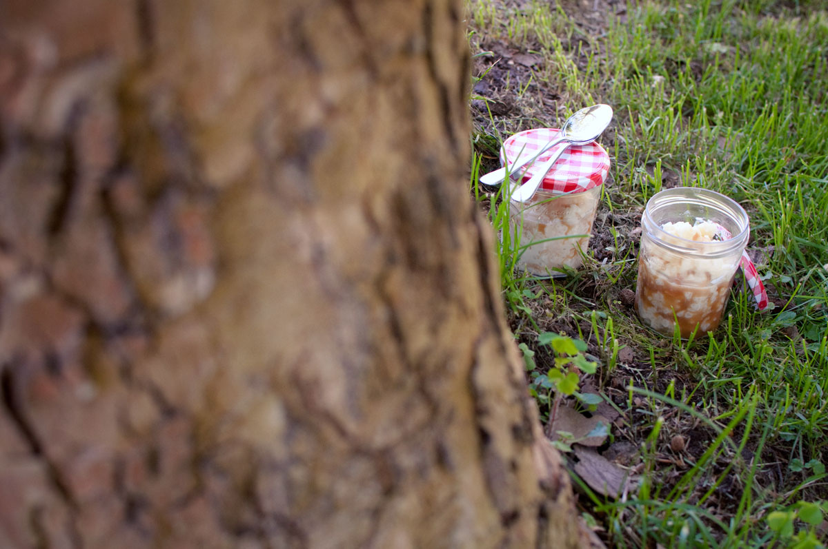 Milchreis im Glas mit Karamell, im Wald, für Picknick